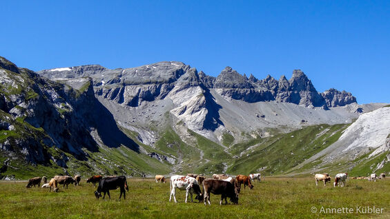 Segnes UNESCO-Weltnaturerbe Sardona Flims Laax