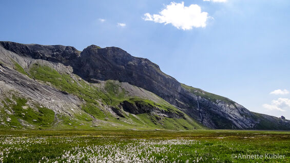 Segnesboden Flims ein wundervoller Kraftort