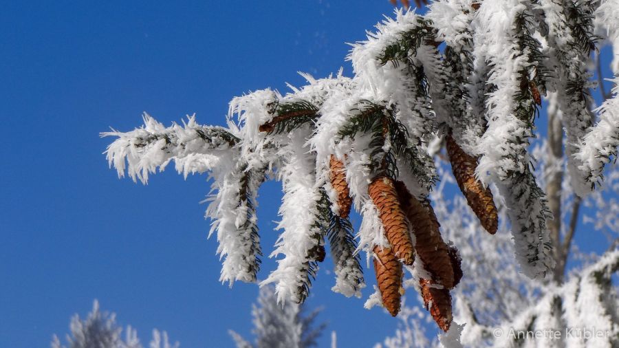 Winterwonderland auf dem Friedberg
