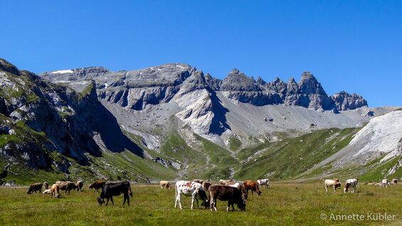 Segnes UNESCO-Weltnaturerbe Sardona Flims Laax