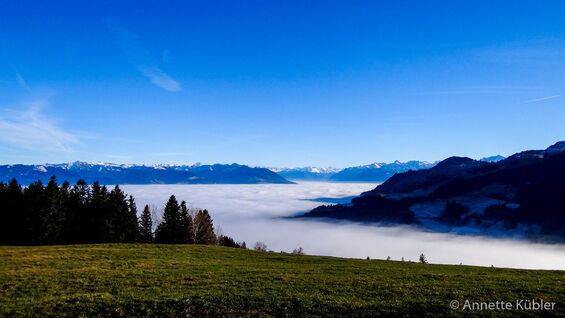 Hoher Hirschberg Appenzellerland über dem Nebel