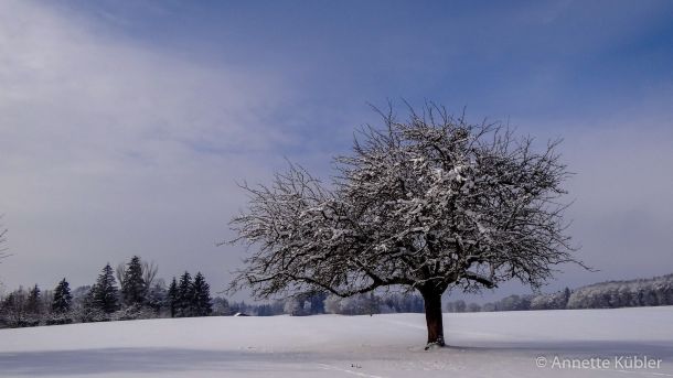 Winterlandschaft auf dem Friedberg